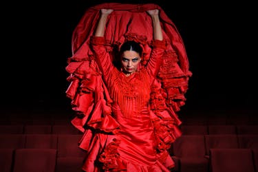 Biglietti d’ingresso per il Teatro Flamenco Madrid